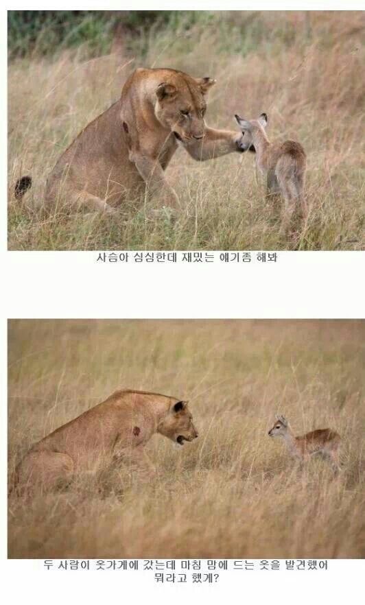 후기 사진 1