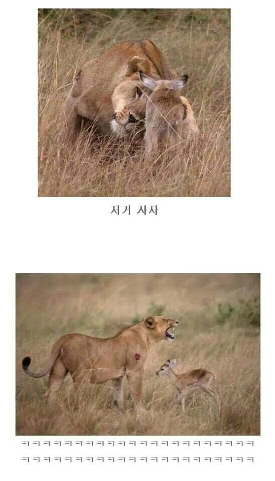 후기 사진 2