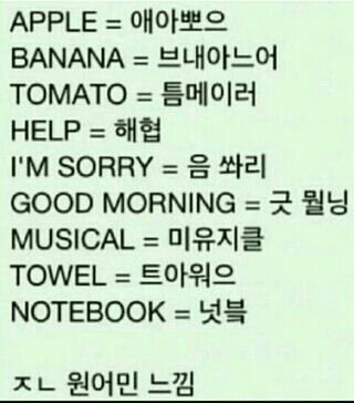 후기 사진 1