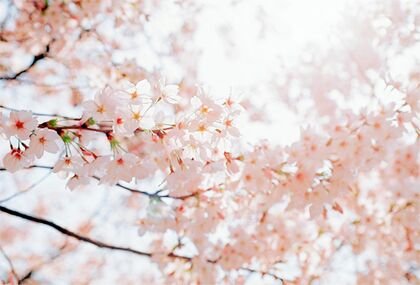후기 사진 1