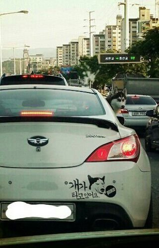 후기 사진 1