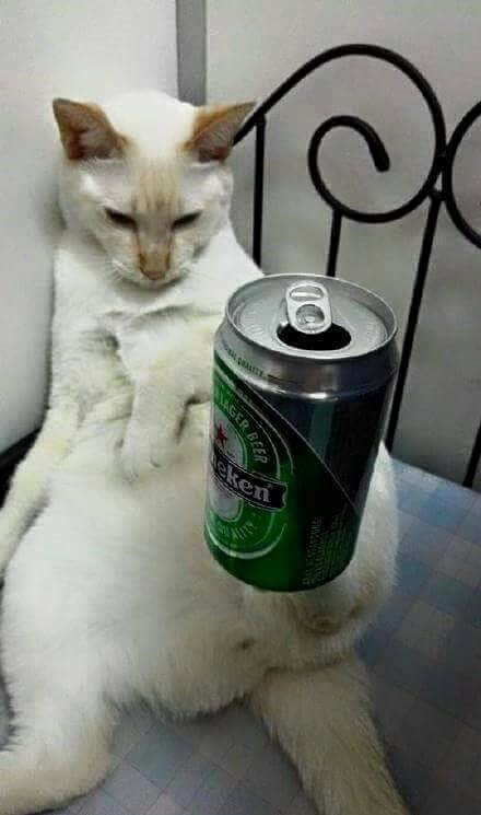 후기 사진 1