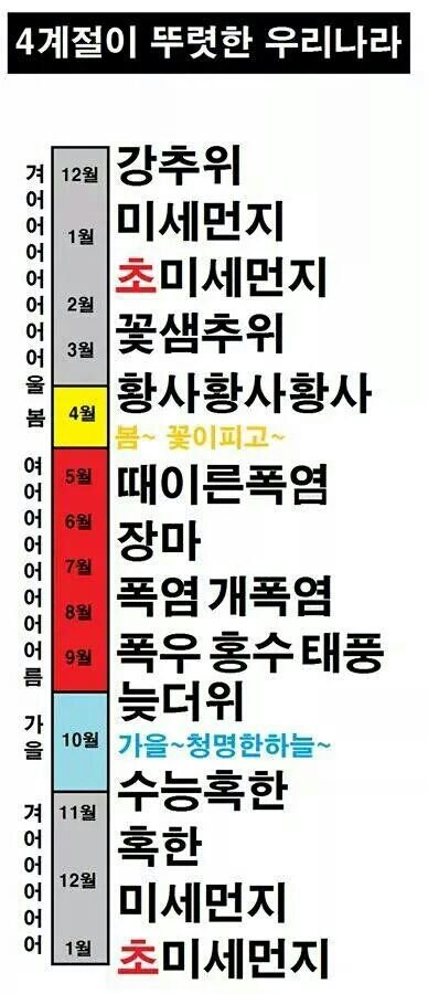 후기 사진 1