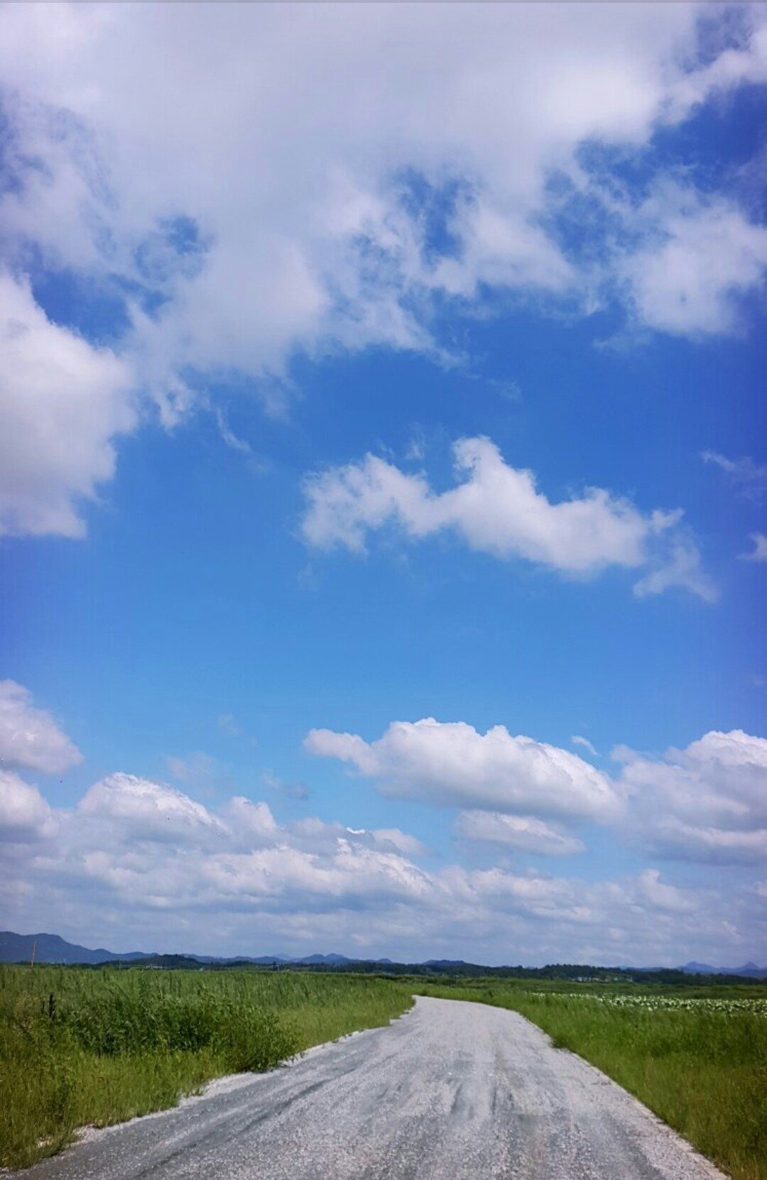 후기 사진 1