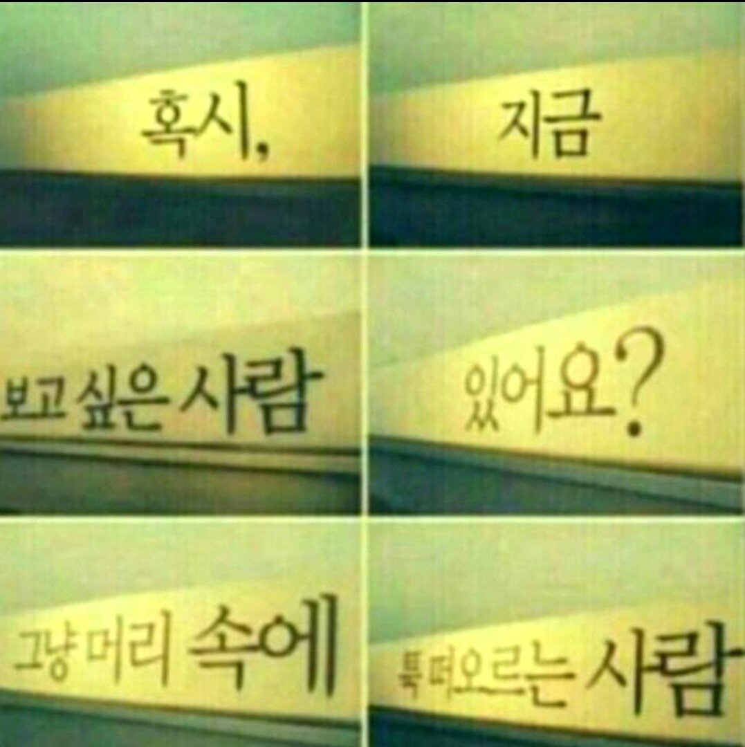 후기 사진 1