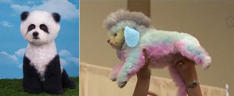 후기 사진 1