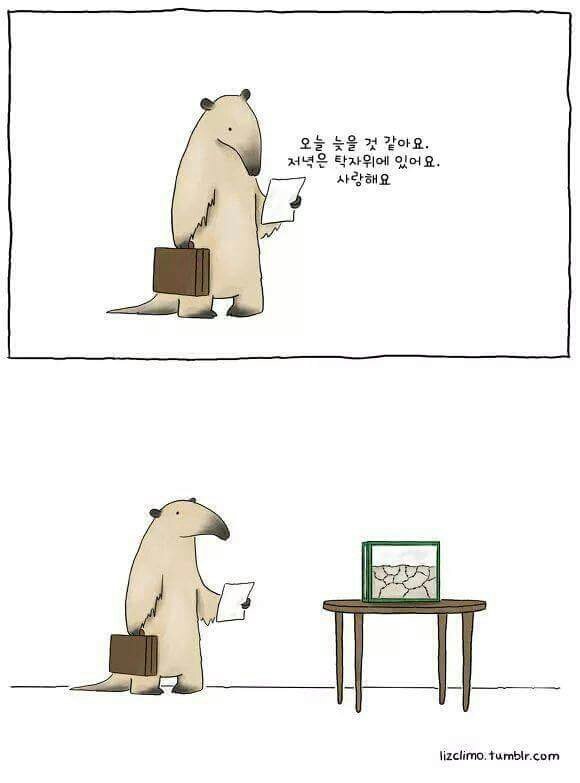 후기 사진 1