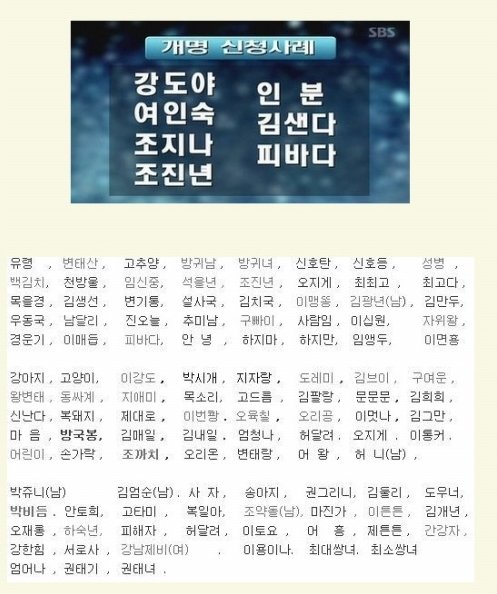 후기 사진 1