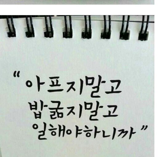 후기 사진 1
