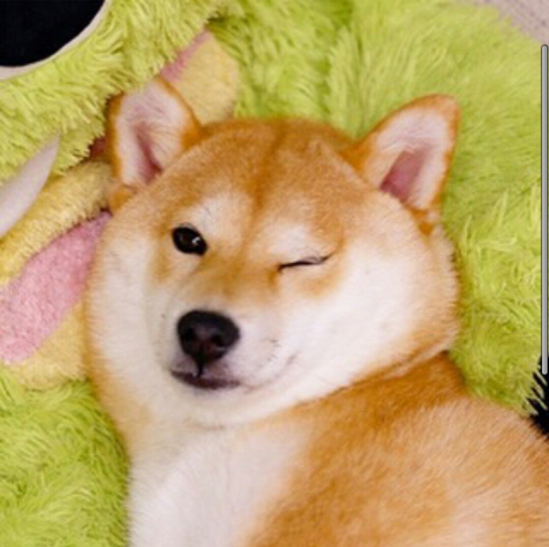 후기 사진 1