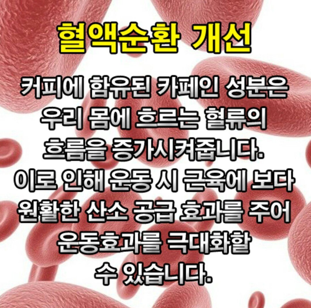 후기 사진 4