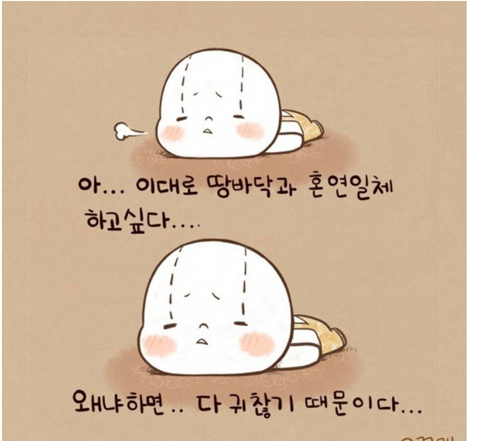 후기 사진 1