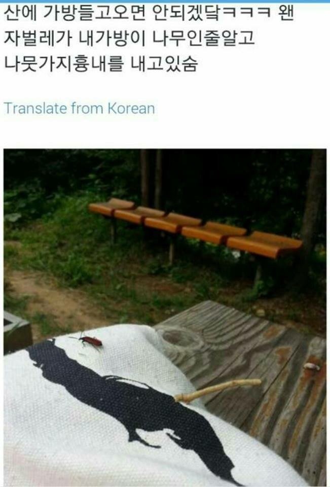 후기 사진 1