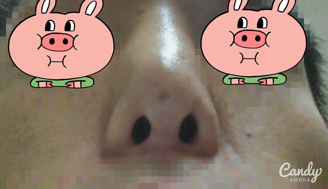 후기 사진 2