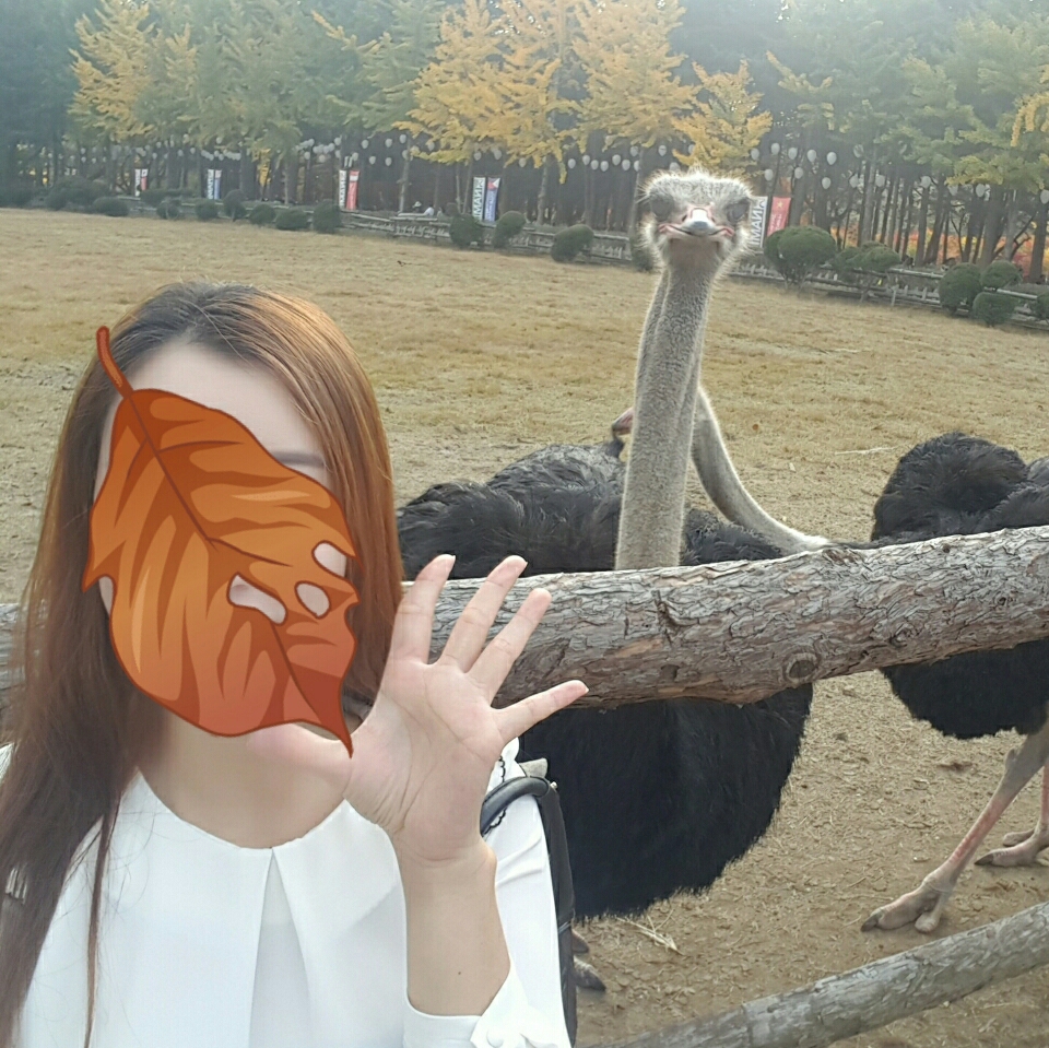 후기 사진 1