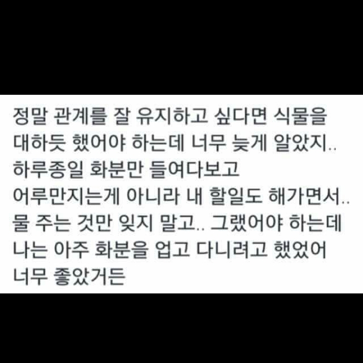 후기 사진 1