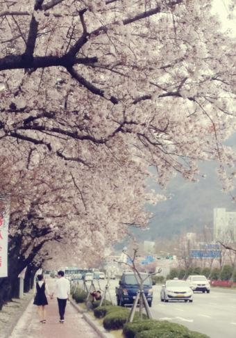 후기 사진 1