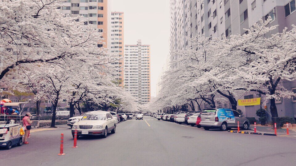 후기 사진 1