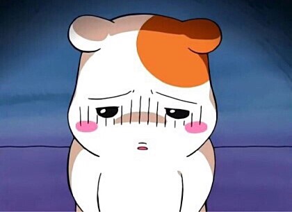 후기 사진 1