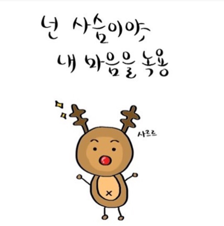 후기 사진 2