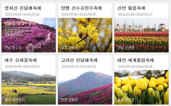 후기 사진 2