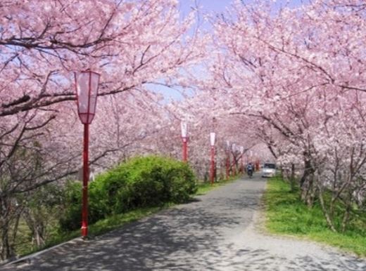 후기 사진 1