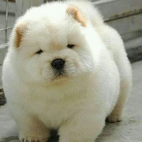 후기 사진 1