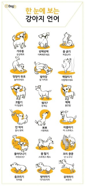 후기 사진 1