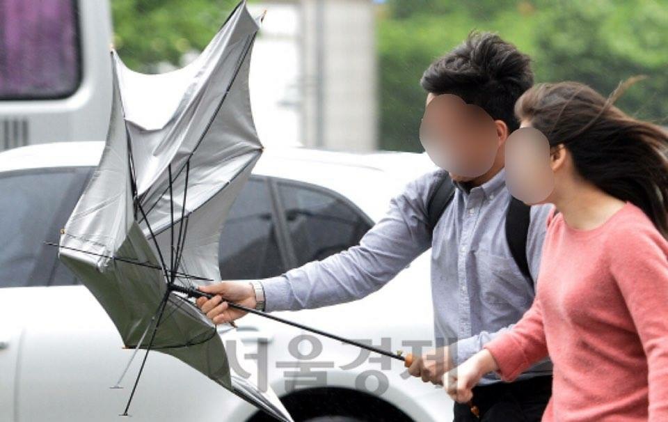 후기 사진 1