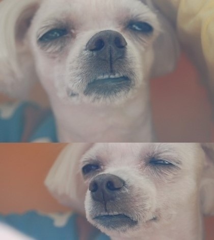 후기 사진 1