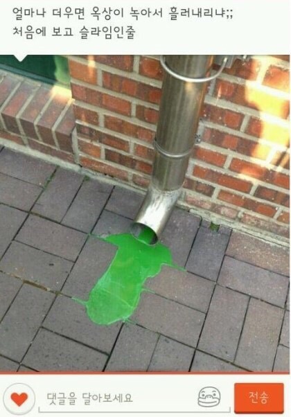 후기 사진 1