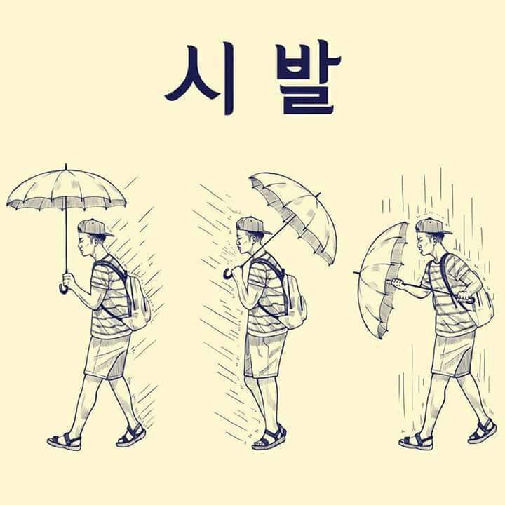 후기 사진 1