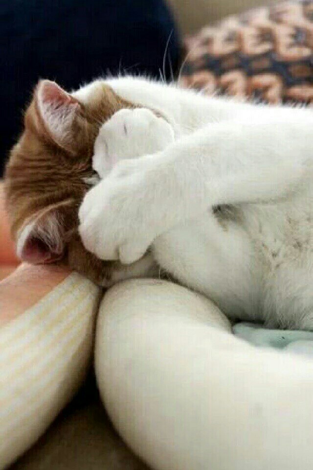 후기 사진 1