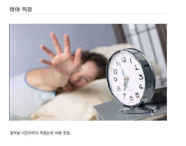 후기 사진 2