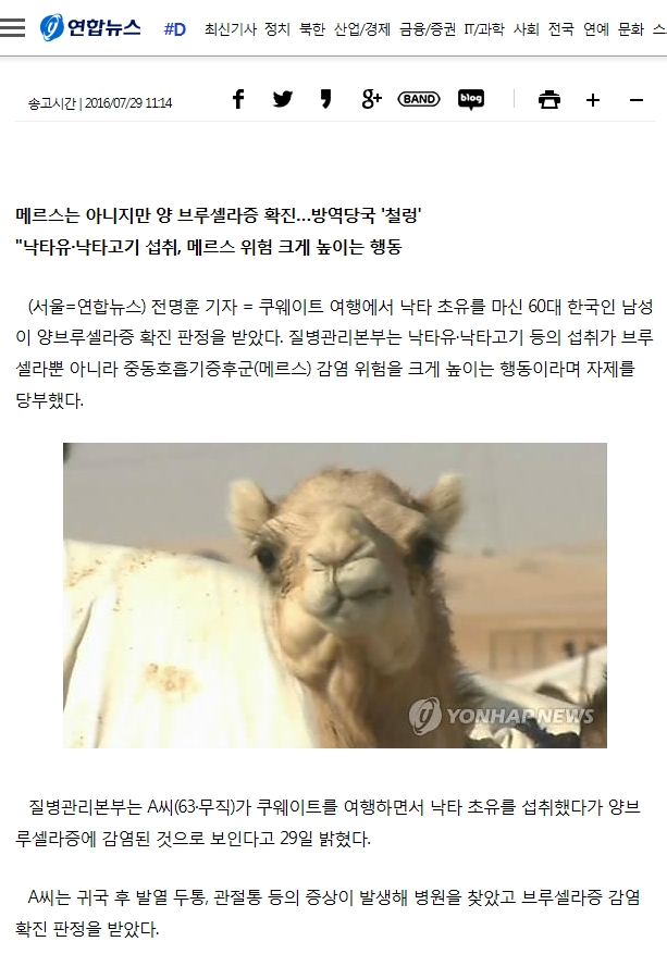 후기 사진 1