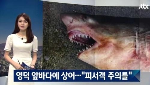 후기 사진 1