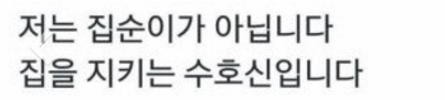 후기 사진 1