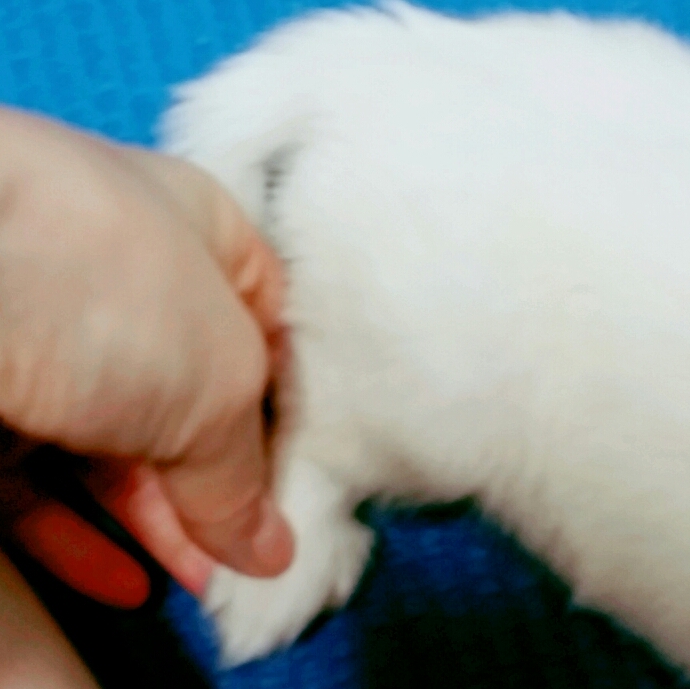 후기 사진 1