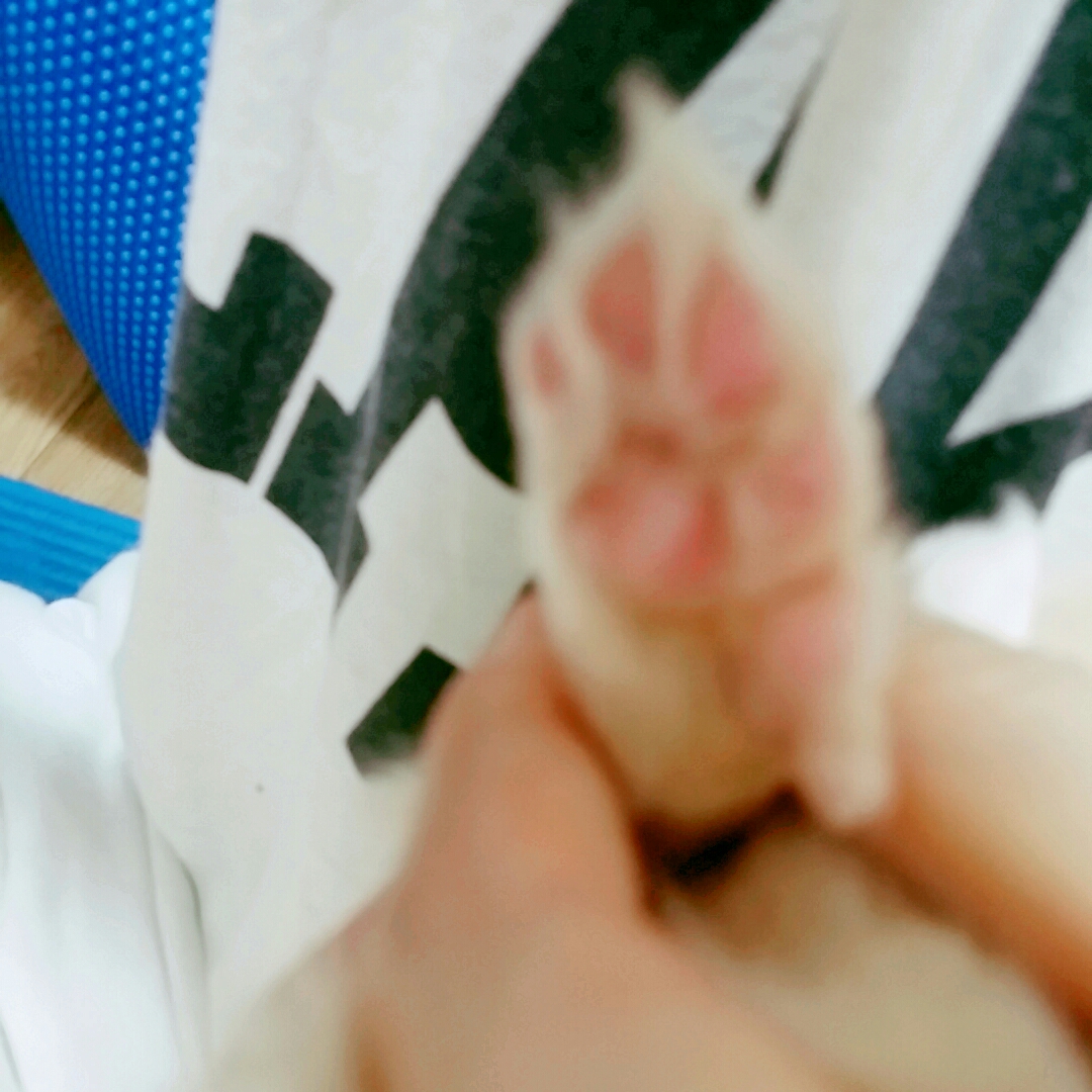 후기 사진 2
