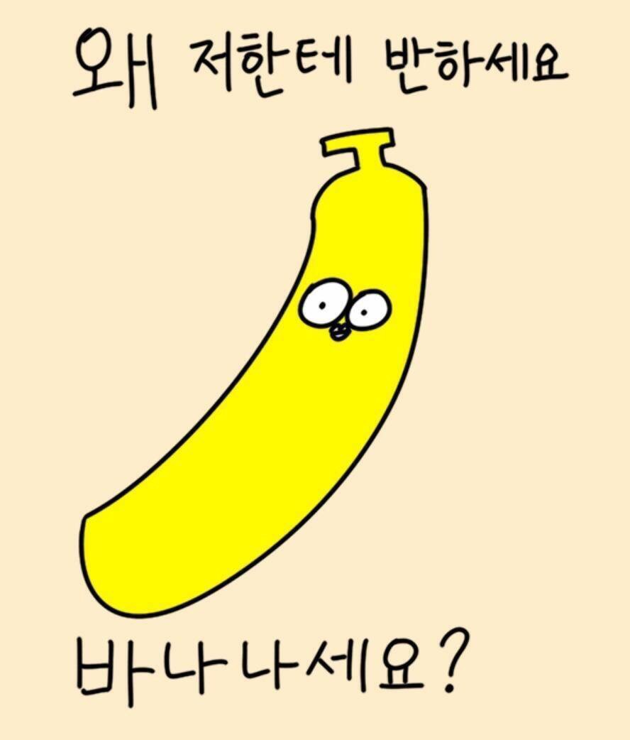 후기 사진 3