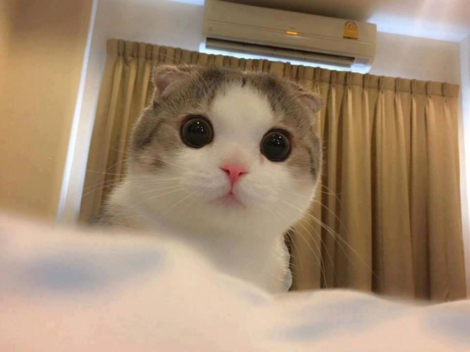 후기 사진 1