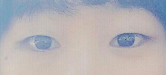 후기 사진 5