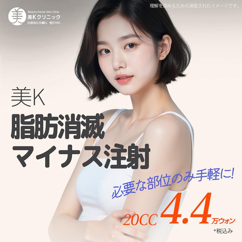 美K 脂肪消滅マイナス注射_腹部、腕、脇腹、ふくらはぎ、太もも、顔