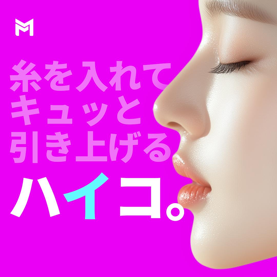 スッとしたハイコ