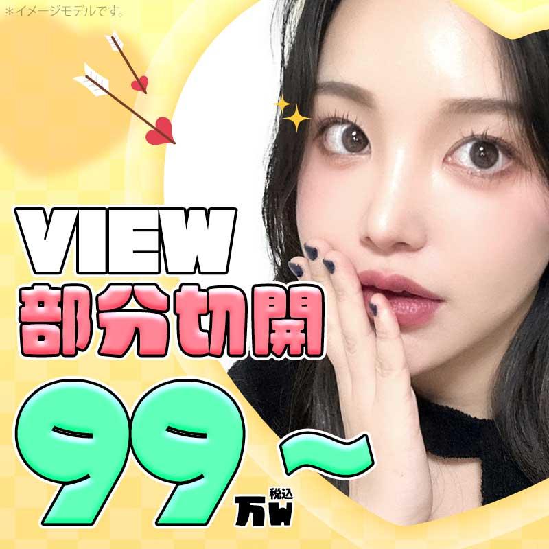 VIEW 部分切開