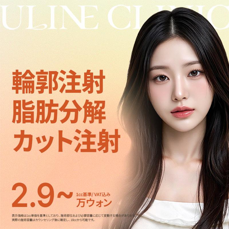 輪郭注射 脂肪分解カット注射