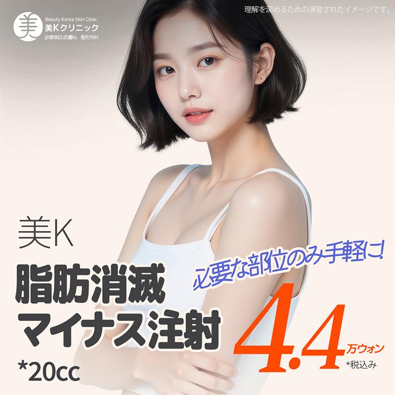 美K 脂肪消滅マイナス注射_腹部、腕、脇腹、ふくらはぎ、太もも、顔