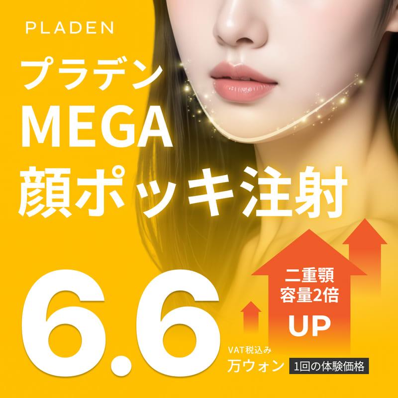 プラデン MEGA ポッキ注射 脂肪溶解注射 輪郭注射