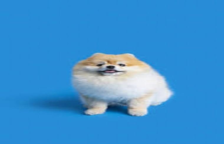 sh병원 대표 이미지