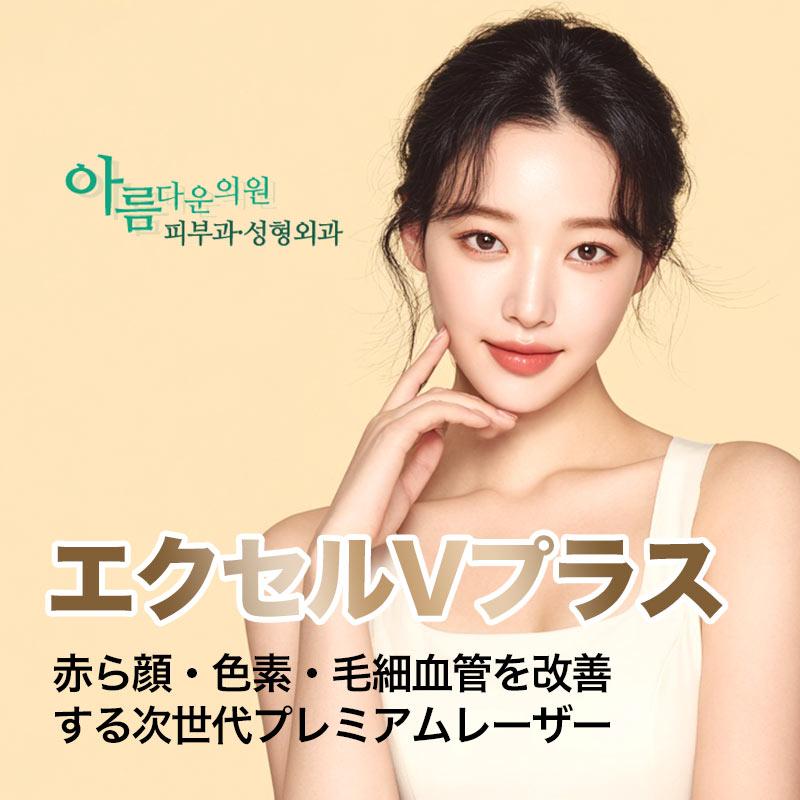 エクセルVプラス